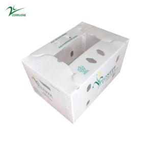 Wholesale Vegetable Corrugated Boxes for High-Performance Storage Optimal for Transportation from china suppliers
