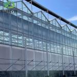 Double Layer Modern Multi-Span High Tunnel Glass Hydroponic Greenhouse for