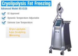 Wholesale Body Slimming / Shaping Cryolipolysis Fat Freezing Machine With Intelligent Temperature Control from china suppliers