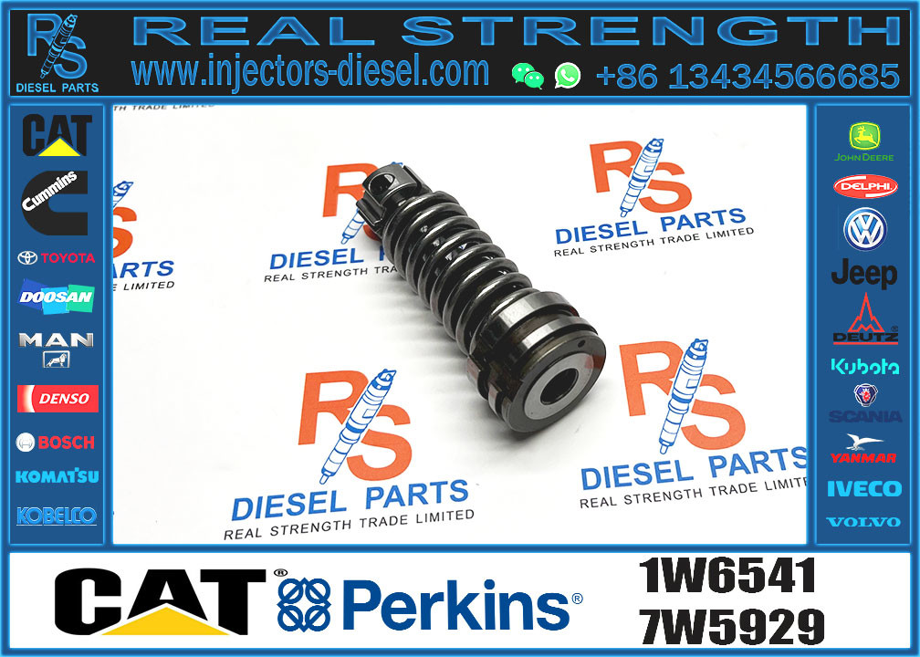 Diesel Fuel Injection Pump Plunger 1w6541 4p9830 9h5797 6n7527 7W5929 9H5797 4P9830 6N7525
