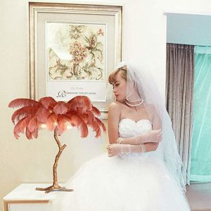 AC220V Ostrich Feather Lamp
