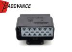Crimp 13A 15326110 Unsealed 12 Pin Female Connector