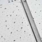 600x600/600x1200mm Mineral Wool Ceiling Tiles with Tegular Edge Pin Hole 14mm