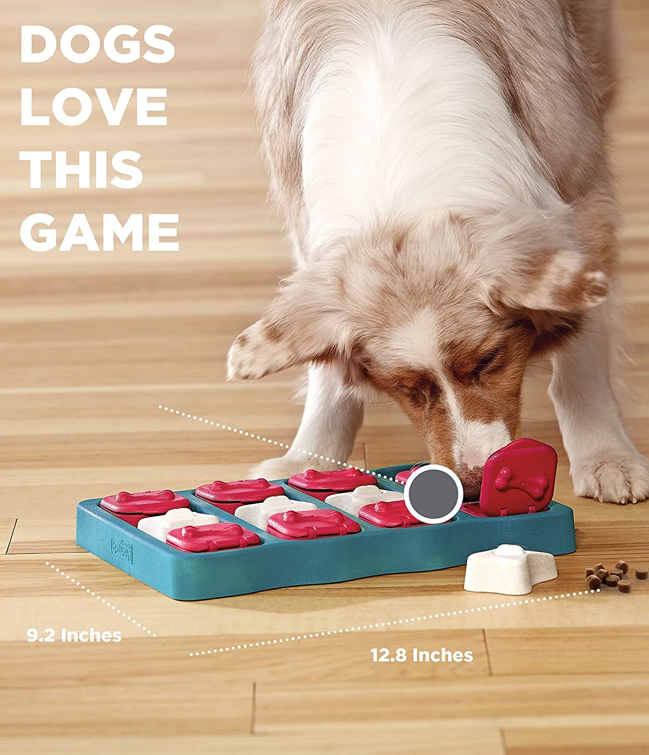 ABS Interactive Food Puzzles For Dogs Blue Color