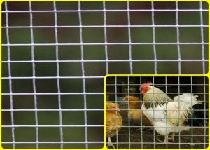 Wholesale 1/2''X 1/2'' Stainless Steel Welded Mesh Rolls For Breeding Protection High Strength from china suppliers