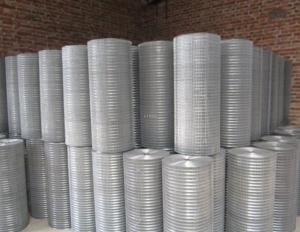 Wholesale Plain Woven Stainless Steel Woven Wire Mesh Customized Hastelloy Alloy Wire For Filter from china suppliers