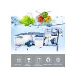 Best Price Semi Automatic Hotels Vortex Leafy Vegetable Washing Machine Used