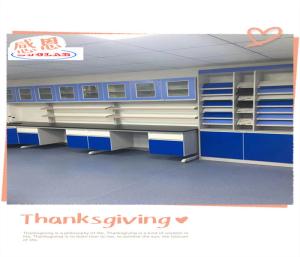 Wholesale Durable Lab Wall Benches With Customizable Options And Powder Coating from china suppliers