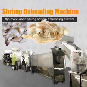 Wholesale Shrimp deheading automatic assembly line Shrimp head removal machine for seafood processing factory from china suppliers