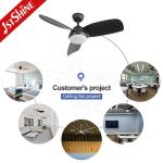 Pure Copper Motor 42-inch LED Ceiling Fan with Black ABS Blades and Metal