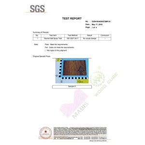 Mabis Project Management Ltd. Certifications