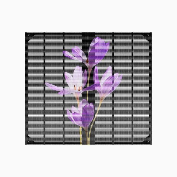 Indoor LED Transparent Led Display Screen Full Color Electronic Grille Screen