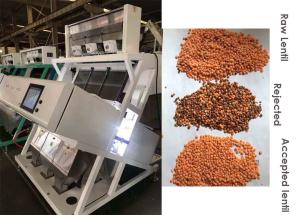 Wholesale 3 Chutes Grain Sorting Machine 99.99% Accuracy 1.5 Ton/H Capacity For Red Lentils from china suppliers