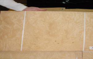 Wholesale Construction Walnut Burl Wood Veneer Yellow With 0.50mm Thickness from china suppliers