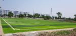 AVG 50mm Synthetic Turf Artificial Football Turf Artificial Turf