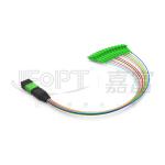 MPO-LC 0.9mm 12Cores Breakout Cable Customized Length SM G657a1 Fiber Multi