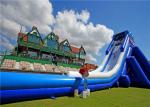 Adult Size Inflatable Giant Slide Wet Dry Colorful Stable Structure Low