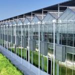 Greenhouse for Growing Vegetables and Flowers 50.00cm * 60.00cm * 80.00cm