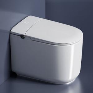 Wholesale Modern Smart Toilet The Perfect Addition to Your High-End Bathroom Design for a More Luxurious Experience from china suppliers