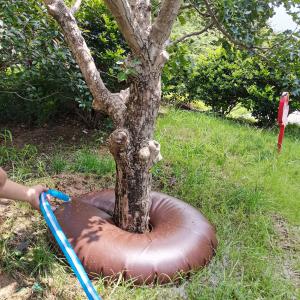 Wholesale High Surface Hardness Water Drip Tree Watering Ring Bag for Slow Releasement Garden from china suppliers