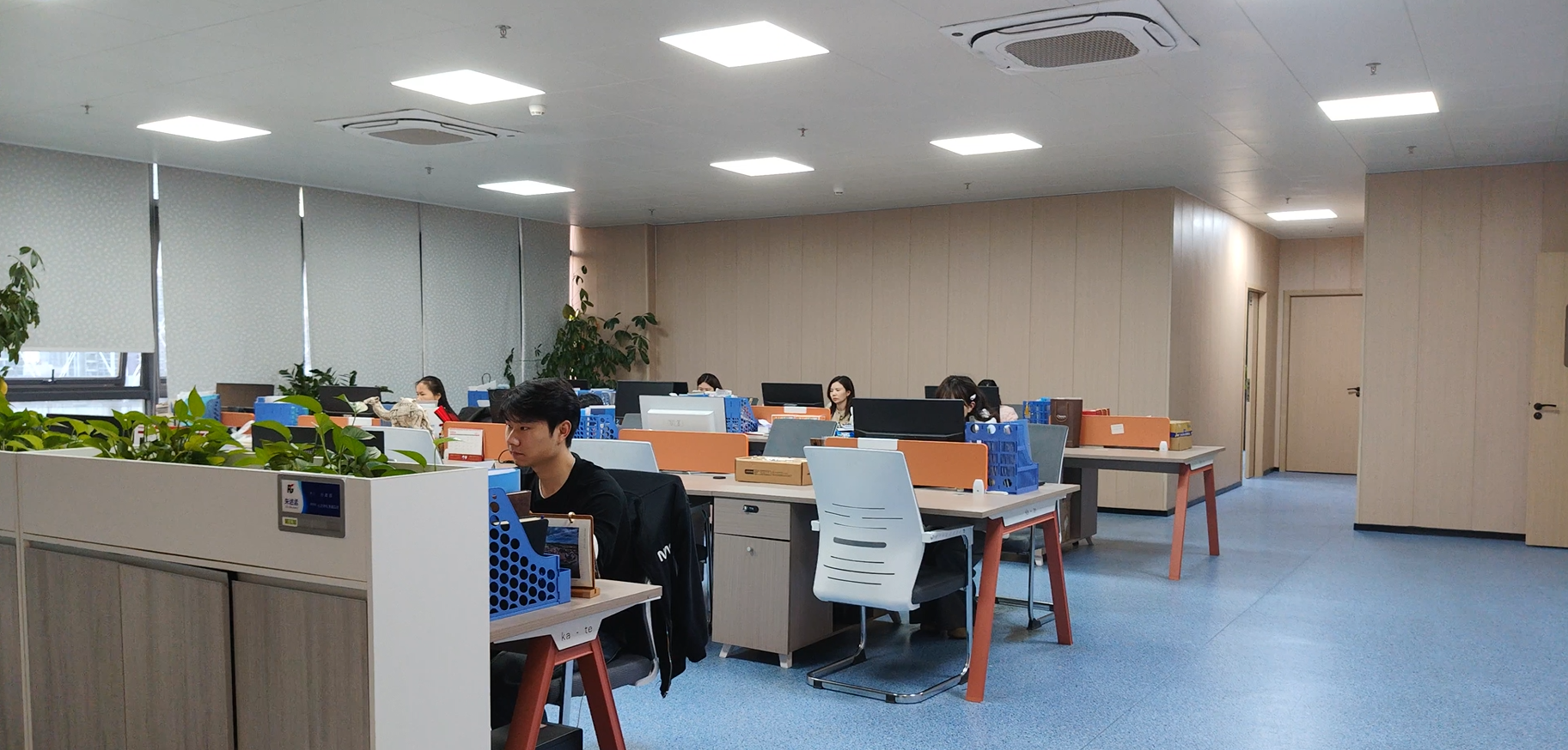 China Chips Star Semiconductor technology overview