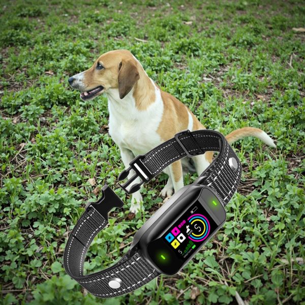 New Arrival Long Range Automatic Anti Barking IPX7 Waterproof Outdoor Rechargeable Plastic Dog Training Collar >20 Hours Battery