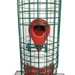 Green Welded Steel Wire Mesh Hanging Bird Feeders Automatic Anti Squirrel