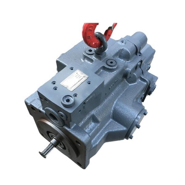 Professional H10VD43SR-1RS5-S/A10VD43SR1RS5 Hydraulic Pump for Excavating