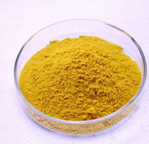Wholesale 100% Nutral Citrus Lemon Extract Eriocitrin 10% HPLC powder from china suppliers