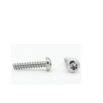 Customized Design Pan Head Stainless Steel Self-Tapping Screw for Metal