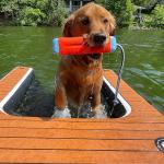 Dogs Water Play Inflatable Pup Plank Dog Ramp Pet Ramp Plank Float Platform For