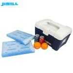 FDA Perfect Sealing Ice Cooler Brick High Efficiency With Gel Cooling Liquid