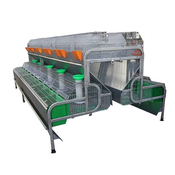 12 Mums Commercial Farm Rabbit Cage High Rearing Efficiency Smart Drinking /