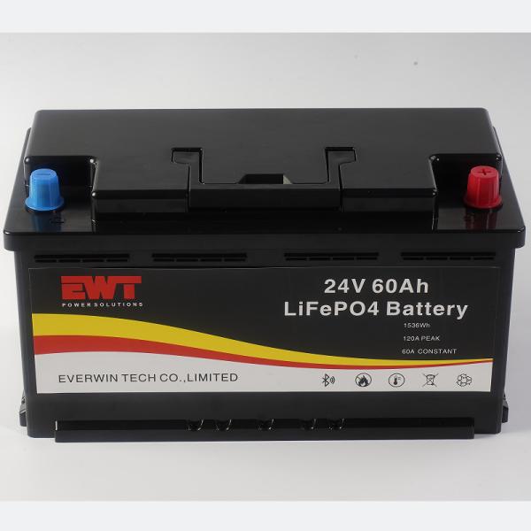 Lithium Iron Phosphate Battery 24V 60Ah For Golf Cart 1440Wh Power / Built In