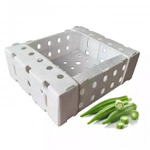 China Asparagus Okra Fruit And Vegetable Packaging Boxes Coreflute on sale