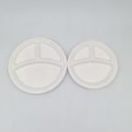 Divided Paper Biodegradable Disposable Plates 2-Compartment 3-Compartment