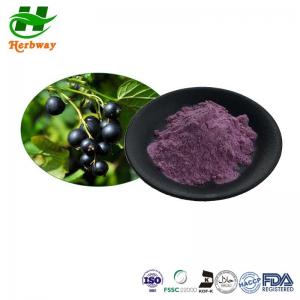 China Herbway Instant Juice Powder Black Currant Juice Powder Ribes Nigrum L. For Beverage on sale