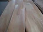 Rotary Cut/Peeled Natural Agathis Wood Veneer Sheet