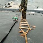 Customizable Black HDPE Geomembrane for 0.5mm Fish Ponds Farm Industrial Design