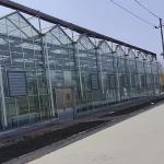 Large and Venlo Style Glass Agricultural Greenhouse with Automatic Control