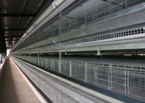 Wholesale Battery H Type Layer Chicken Cage Low Noise High Carrying Capacity from china suppliers