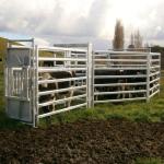 Farm1.8m Square Tube Cattle Panel Fence Galvanized Customized