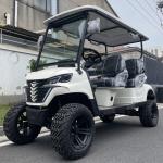 Stylish Appearance 5kw Motor Electric Lithium Battery Golf Cart 14 Inch Off-Road