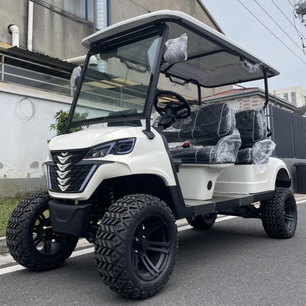Stylish Appearance 5kw Motor Electric Lithium Battery Golf Cart 14 Inch Off-Road