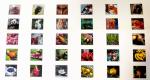 Cutomized Baby Newborn Visual Stimulation Cards Animals Plants Flashcards For 6