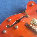 Hollow body jazz electric guitar, Double F holes,Ebony Fingerboard,Tremolo