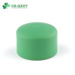 Flexible Plastic Cap for PPR Hot Water Pipe Fittings in Rigid and DIN Standard