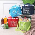 L33cm Multipocket Oxford Insulated Lunch Cooler Bags