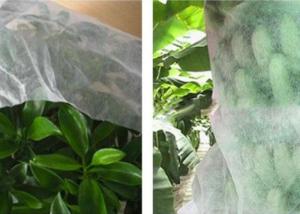 Wholesale Good Transparency Agriculture Non Woven Fabric Non - Poisonous Frostproof Fabric from china suppliers