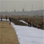 Non-Woven Geotextile for Civil Constructions 100g/sqm-800g/sqm Certificate